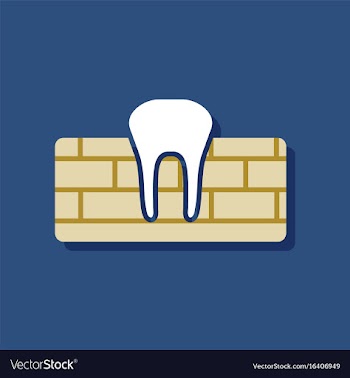 Flat icon design collection tooth and gum in vector image