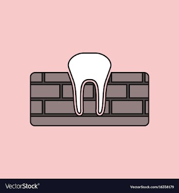 Flat icon design collection tooth and gum vector image
