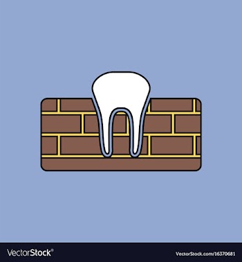 Flat icon design collection tooth and gum vector image
