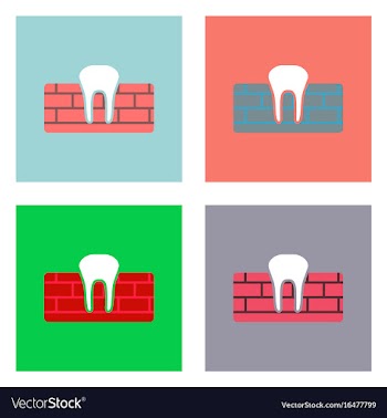 Flat icon design collection tooth and gum vector image