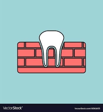 Flat icon design collection tooth and gum vector image