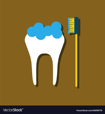 Flat icon design collection tooth and toothbrush vector image