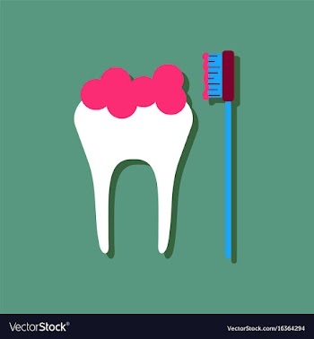 Flat icon design collection tooth and toothbrush vector image