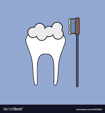 Flat icon design collection tooth and toothbrush vector image