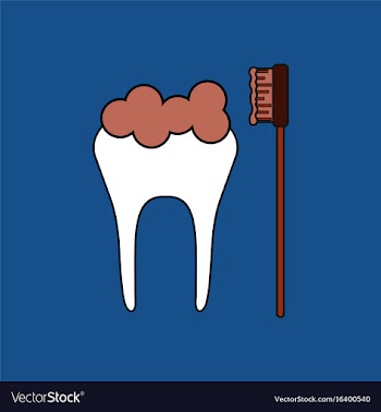 Flat icon design collection tooth and toothbrush vector image