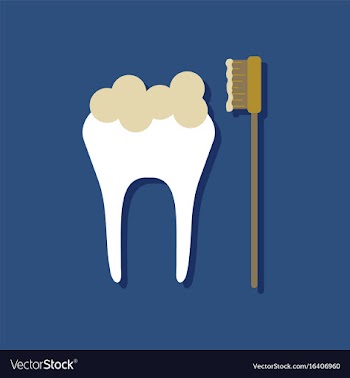 Flat icon design collection tooth and toothbrush vector image