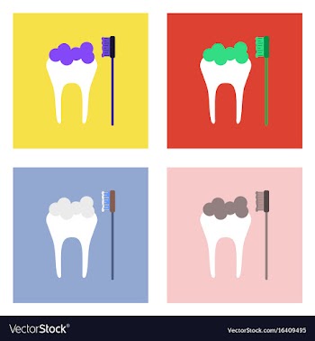 Flat icon design collection tooth and toothbrush vector image