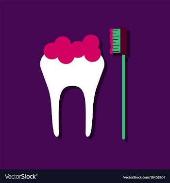 Flat icon design collection tooth and toothbrush vector image