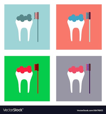 Flat icon design collection tooth and toothbrush vector image