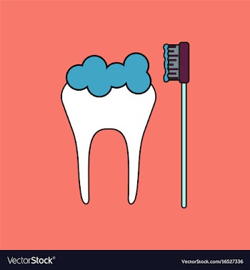 Flat icon design collection tooth and toothbrush vector image