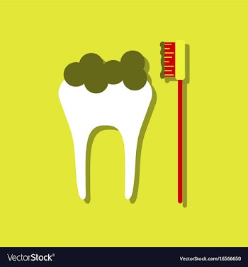 Flat icon design collection tooth and toothbrush vector image