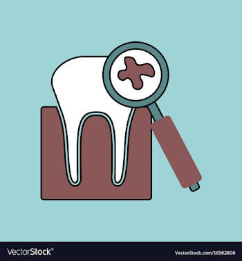 Flat icon design collection tooth with a vector image