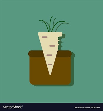 Flat icon design collection turnip in soil in vector image