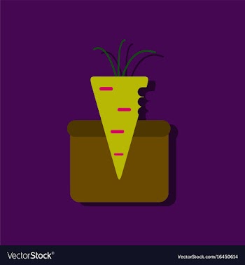 Flat icon design collection turnip in soil in vector image