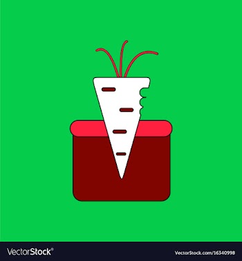 Flat icon design collection turnip in soil vector image