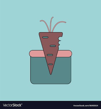 Flat icon design collection turnip in soil vector image