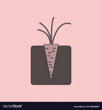 Flat icon design collection turnips in the ground vector image