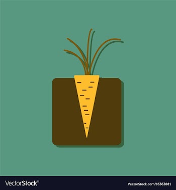 Flat icon design collection turnips in the ground vector image