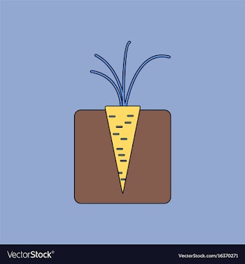 Flat icon design collection turnips in the ground vector image