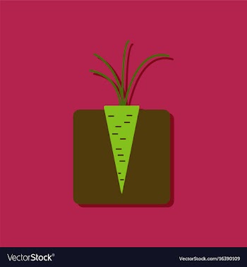 Flat icon design collection turnips in the ground vector image