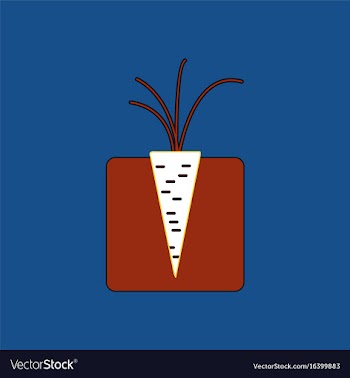 Flat icon design collection turnips in the ground vector image