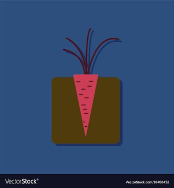 Flat icon design collection turnips in the ground vector image