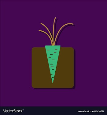 Flat icon design collection turnips in the ground vector image