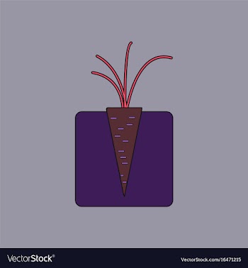 Flat icon design collection turnips in the ground vector image