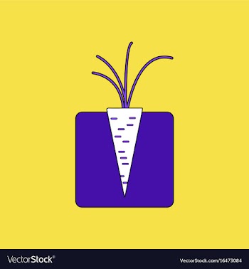 Flat icon design collection turnips in the ground vector image