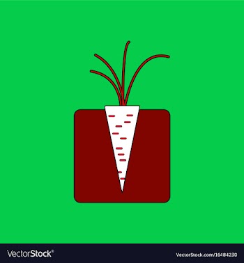 Flat icon design collection turnips in the ground vector image
