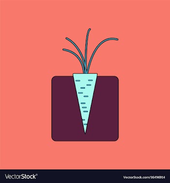 Flat icon design collection turnips in the ground vector image