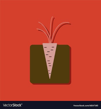 Flat icon design collection turnips in the ground vector image