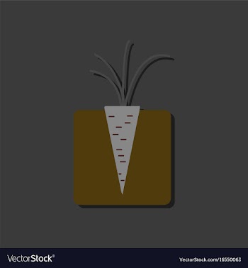Flat icon design collection turnips in the ground vector image