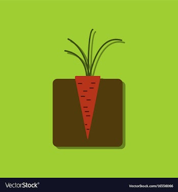 Flat icon design collection turnips in the ground vector image