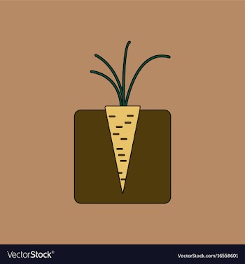 Flat icon design collection turnips in the ground vector image