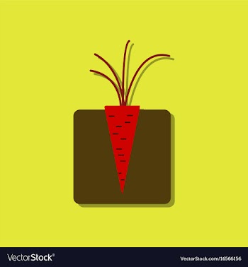 Flat icon design collection turnips in the ground vector image
