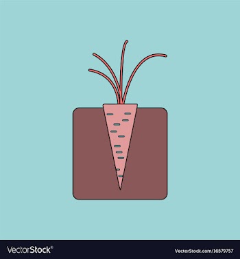 Flat icon design collection turnips in the ground vector image