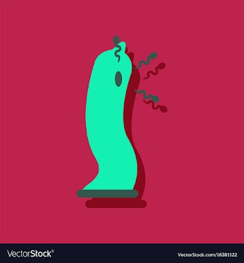 Flat icon design condom and spermatozoa in vector image