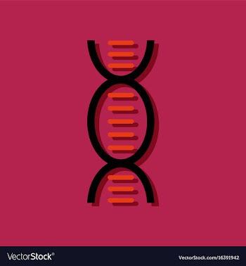 Flat icon design dna in sticker style vector image