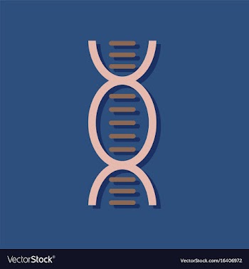 Flat icon design dna in sticker style vector image