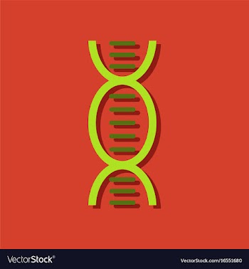Flat icon design dna in sticker style vector image