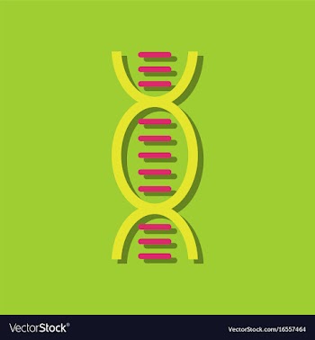 Flat icon design dna in sticker style vector image