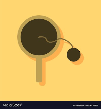 Flat icon design kids racket and ball in sticker vector image