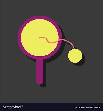 Flat icon design kids racket and ball in sticker vector image