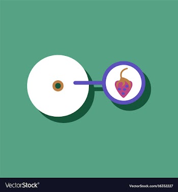 Flat icon design music plate and strawberry in vector image