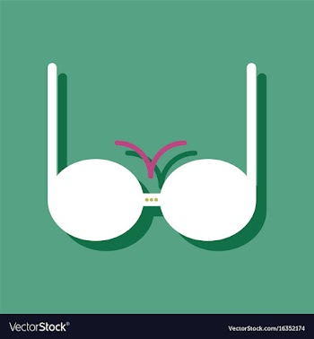 Flat icon design sexy women brassiere in sticker vector image