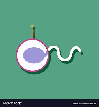 Flat icon design spermatozoa in helmet in sticker vector image
