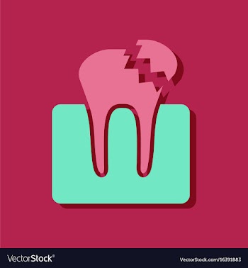 Flat icon design tooth in sticker style vector image