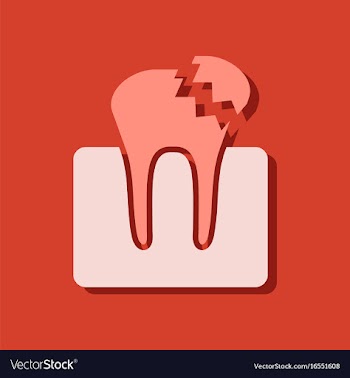 Flat icon design tooth in sticker style vector image