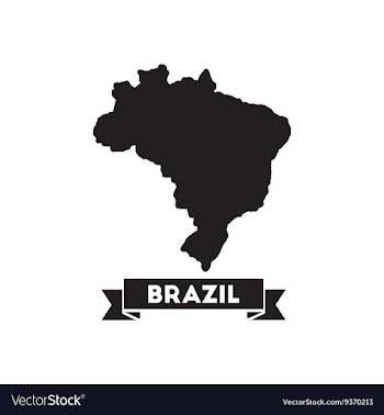 Flat icon in black and white Brazil map vector image